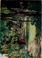 Picture 28 of 30 from Gardens of celebrities and celebrated gardens in and around London (1918), leaf 334