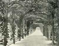 Picture 124 of 434 from Gardens, old and new; the country house & its garden environment (1900), leaf 105