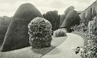 Picture 138 of 434 from Gardens, old and new; the country house & its garden environment (1900), leaf 115