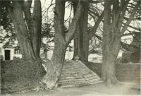 An illustration from Gardens, old and new; the country house & its garden environment (1900)