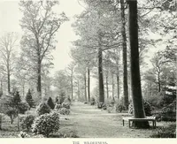 Picture 201 of 434 from Gardens, old and new; the country house & its garden environment (1900), leaf 163