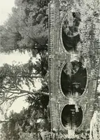 An illustration from Gardens, old and new; the country house & its garden environment (1900)