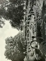 Picture 223 of 434 from Gardens, old and new; the country house & its garden environment (1900), leaf 179