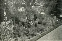 An illustration from Gardens, old and new; the country house & its garden environment (1900)