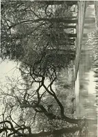 An illustration from Gardens, old and new; the country house & its garden environment (1900)