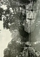 An illustration from Gardens, old and new; the country house & its garden environment (1900)