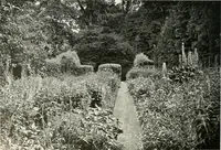 Picture 319 of 434 from Gardens, old and new; the country house & its garden environment (1900), leaf 249