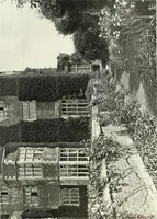 An illustration from Gardens, old and new; the country house & its garden environment (1900)