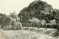 An illustration from Gardens, old and new; the country house & its garden environment (1900)