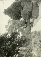Picture 347 of 434 from Gardens, old and new; the country house & its garden environment (1900), leaf 268