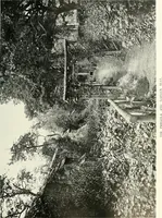 An illustration from Gardens, old and new; the country house & its garden environment (1900)