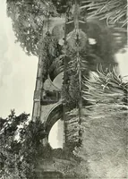 An illustration from Gardens, old and new; the country house & its garden environment (1900)