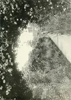 An illustration from Gardens, old and new; the country house & its garden environment (1900)