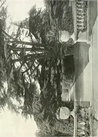 An illustration from Gardens, old and new; the country house & its garden environment (1900)