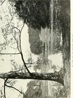An illustration from Gardens, old and new; the country house & its garden environment (1900)