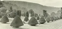 Picture 92 of 434 from Gardens, old and new; the country house & its garden environment (1900), leaf 82