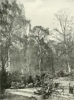 An illustration from Gardens, old and new; the country house & its garden environment (1900)