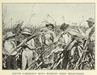 Picture 6 of 14 from Gardens and their meaning (1911), leaf 103