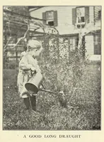 Picture 7 of 14 from Gardens and their meaning (1911), leaf 119