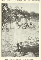 Picture 10 of 14 from Gardens and their meaning (1911), leaf 178