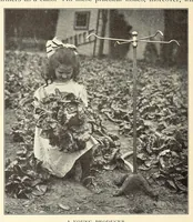 Picture 1 of 14 from Gardens and their meaning (1911), leaf 20