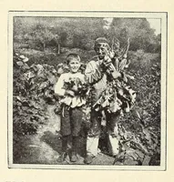 Picture 3 of 14 from Gardens and their meaning (1911), leaf 48