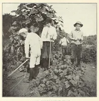 Picture 5 of 14 from Gardens and their meaning (1911), leaf 88