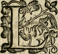 An illustration from Gareggiamento d'Amore e d'Imeneo, rappresentato in Elicona per le nozze delli ser.mi di Piacenza e Parma Odoardo Farnese e Margarita Medici : epitalamio (1628)