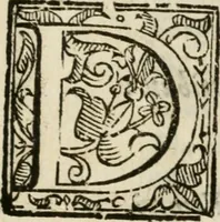 An illustration from Gareggiamento d'Amore e d'Imeneo, rappresentato in Elicona per le nozze delli ser.mi di Piacenza e Parma Odoardo Farnese e Margarita Medici : epitalamio (1628)