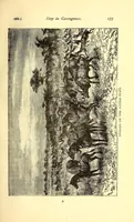 Picture 6 of 14 from Garenganze; or, Seven years' pioneer mission work in central Africa (1889), leaf 195