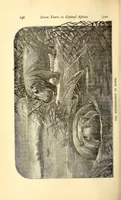Picture 8 of 14 from Garenganze; or, Seven years' pioneer mission work in central Africa (1889), leaf 214