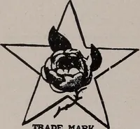 An illustration from The garment buyer's ad. book; (1904)
