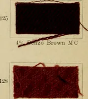 An illustration from Garment dyeing (1906)