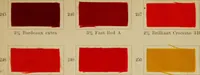An illustration from Garment dyeing (1906)