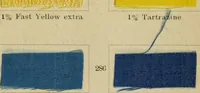 An illustration from Garment dyeing (1906)