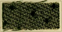 An illustration from Garment dyeing. Cassella Color Company (American branch of Leopold Cassella & Co.) (1910)
