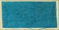 An illustration from Garment dyeing. Cassella Color Company (American branch of Leopold Cassella & Co.) (1910)