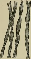 An illustration from Garment dyeing and cleaning : a practical book for practical men (1901)