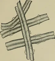 An illustration from Garment dyeing and cleaning : a practical book for practical men (1901)