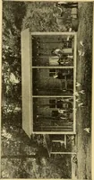 An illustration from The gasoline engine on the farm; a practical, comprehensive treatise on the construction, repair, management and use of this great farm power as applied to all farm machinery and farmer's work indoors and out .. (1913)