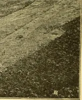 An illustration from The gasoline engine on the farm; a practical, comprehensive treatise on the construction, repair, management and use of this great farm power as applied to all farm machinery and farmer's work indoors and out .. (1913)
