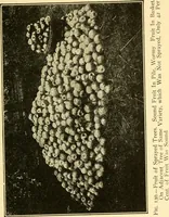 An illustration from The gasoline engine on the farm; a practical, comprehensive treatise on the construction, repair, management and use of this great farm power as applied to all farm machinery and farmer's work indoors and out .. (1913)