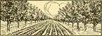 An illustration from The gasoline engine on the farm; a practical, comprehensive treatise on the construction, repair, management and use of this great farm power as applied to all farm machinery and farmer's work indoors and out .. (1913)