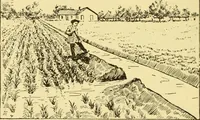 An illustration from The gasoline engine on the farm; a practical, comprehensive treatise on the construction, repair, management and use of this great farm power as applied to all farm machinery and farmer's work indoors and out .. (1913)