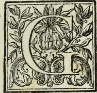 An illustration from Gasparis Aloysii Oderici ... Dissertationes et adnotationes in aliquot ineditas veterum inscriptiones et numismata accedunt inscriptiones et monumenta quae extant in bibliotheca monachorum camaldulensium S. Gregorii in Monte Coelio explicationibvs illvstrata (1765)