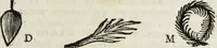 Picture 34 of 55 from Gasparis Aloysii Oderici ... Dissertationes et adnotationes in aliquot ineditas veterum inscriptiones et numismata accedunt inscriptiones et monumenta quae extant in bibliotheca monachorum camaldulensium S. Gregorii in Monte Coelio explicationibvs illvstrata (1765), leaf 248
