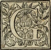 An illustration from Gasparis Aloysii Oderici ... Dissertationes et adnotationes in aliquot ineditas veterum inscriptiones et numismata accedunt inscriptiones et monumenta quae extant in bibliotheca monachorum camaldulensium S. Gregorii in Monte Coelio explicationibvs illvstrata (1765)