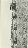An illustration from The modern gas tractor, its construction, utility, operation and repair; a practical treatise defining every branch of up-to-date gas tractor engineering, driving and maintenance in a non-technical manner. Considers fully all types of power plants and their components, methods of drive and speed changing mechanisms. Describes design and construction of all parts, their installation and adjustment as well as practical application of tractors in the field (1914)