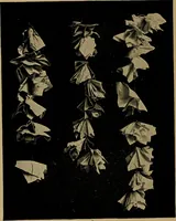 An illustration from Gateways to art and industry (1913)