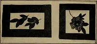 An illustration from Gateways to art and industry (1913)